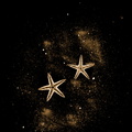 Constellation Marine.JPG